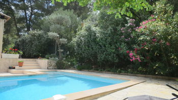 Piscine traditionnelle 8m x 4m sans vis-à-vis