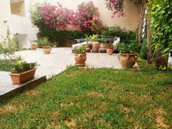 Jardin