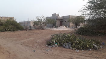 Vente TERRAIN YENN TODD Rufisque Sénégal