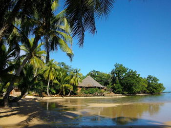 vue restaurant depuis plage bungalow