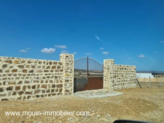 Vente TERRAIN MZIRAA Birbouregba Hammamet Tunisie