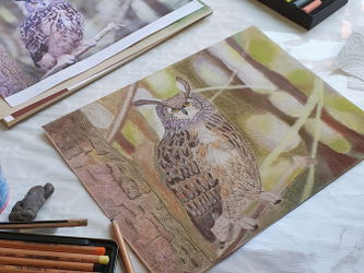 Dessin animalier pastel sec