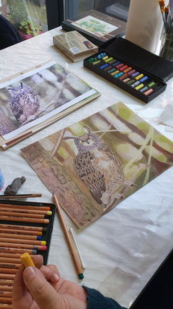 Dessin animalier pastel sec