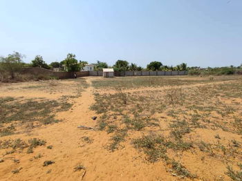 Vente Terrain plat Ampasinabo mitsinjo Toliara Madagascar