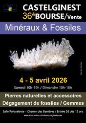 Bourse vente minéraux fossiles Castelginest 4 et 5 avril 2026
