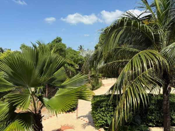 Grand terrain magnifiquement arboré