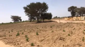 Vente VERGER AGRICOLE Thies Sénégal