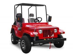 Jeep willys 200cc offroad boite auto MA treuil electrique Biriatou