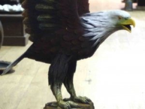 Statue d&#039;aigle bois H 100 cm Sedan Ardennes