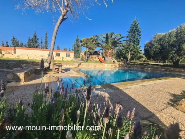 JARDIN ET PISCINE