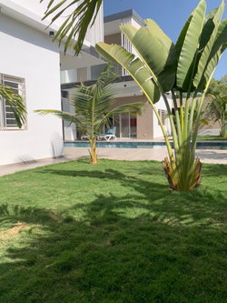 jardin