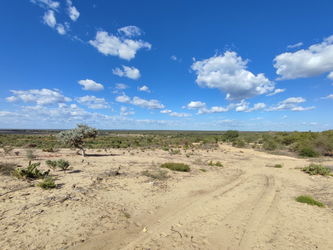 Annonce Vente Terrain 18 128m2 vue panoramique mer brousse proche belle plage Ifaty Tuléar MadagascarMadagasc Toliara