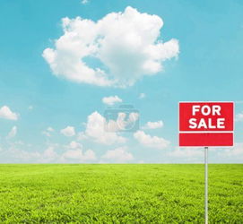 Vente Terrain Constructible Pléneuf-Val-André Côtes d&#039;Armor