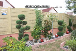 CHEVREY CHAMBERTIN