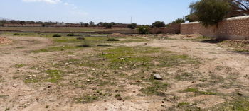 Vente Terrain 1hectare plan maison d&#039;hotes Essaouira Maroc