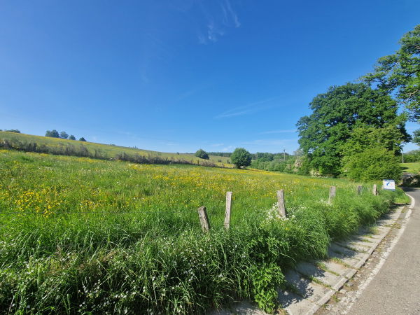 Villa moderne avec piscine