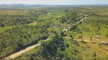 Vente 1 TERRAIN 69 hectares ROUTE RN2 TOAMASINA Madagascar