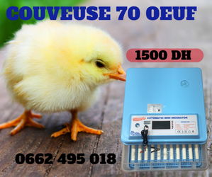 La solution parfaite pour réussir vos éclosions