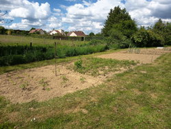 Potager