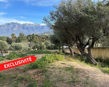 Vente exclusivité Terrain vue Panoramique Calvi Corse