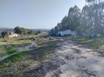 Terrain rustique avec pièces de stockage et entrepôt - Óbidos