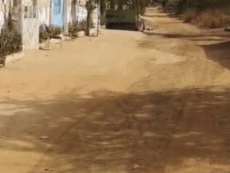 Annonce Vente Terrain toubab dialao Sénégal