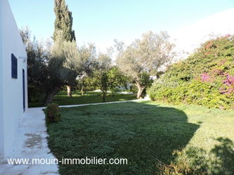 Location dar olivo al hammamet Tunisie