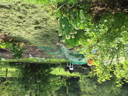 Le jardin potager en permaculture