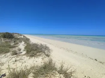 Superbe terrain mer 150m plage morcelable Ambatomilo Tulear MADAGASCAR