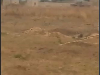 Vente 1 verger Ngékhokh M&#039;Bour Sénégal