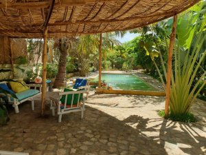Annonce Vente Luxueuse Villa 630m2 piscine &amp; Jardin Tropical TULEAR Toliara MADAGASCAR