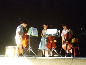 Annonce cours violoncelle montpellier cournonterral pézenas Hérault