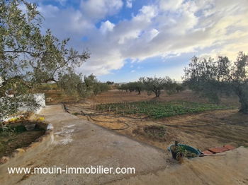 Vente Terrain Anna Hammamet bIRBOUREGBA Tunisie