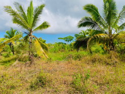 Paysage 