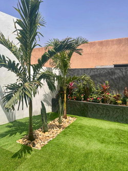 Jardin
