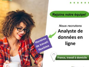 analyste données ligne online data analyst france Marseille Bouches du Rhône