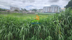 terrain