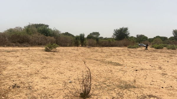 Terrains 225 mètres carrés à vendre à Malicounda, Sénégal