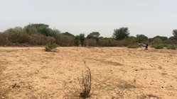 Terrains 225 mètres carrés à vendre à Malicounda, Sénégal