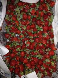 fraise