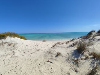 Annonce Vente Terrain plat 11 223ha plage Sable blanc Toliara Madagascar