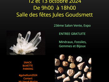 Annonce 23ème salon Vente exposition Minéraux fossiles Givenchy-en-Gohelle