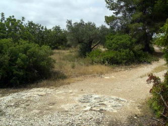 Vente terrain agricole finca ametlla mar espagne Tarragone