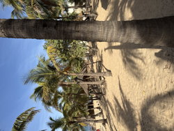 Plage privée
