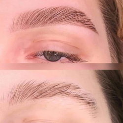 Restructuration sourcils Henna 