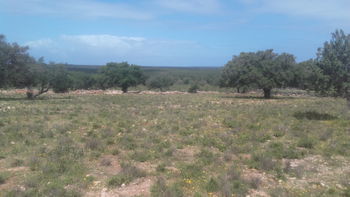 Vente Terrain 5000m² lahrarta Essaouira Maroc