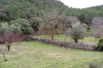 Vente terrain agricole ametlla mar Tarragone Espagne
