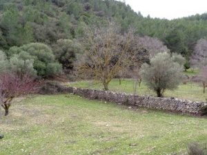 Vente terrain agricole ametlla mar Tarragone Espagne