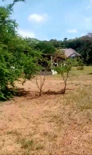 vue de la maison d'invités et villa depuis le parc