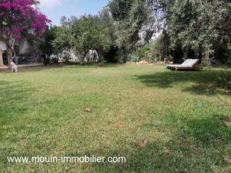 Location villa berne hammamet zone théâtre Tunisie